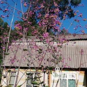 Дом 80м², 2-этажный, участок 10 сот.