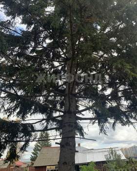 Дом 247м², 2-этажный, участок 5 сот.