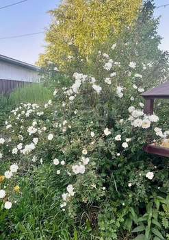 Дом 272м², 2-этажный, участок 14 сот.