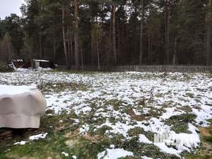 Дача 26м², 1-этажный, участок 15 сот.