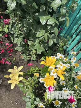 Дом 83м², 2-этажный, участок 3 сот.