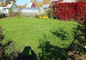 Дом 25м², 2-этажный, участок 4 сот.