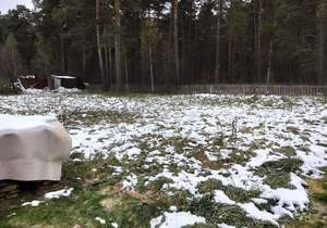 Дача 26м², 1-этажный, участок 15 сот.