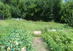 Дом 33м², 1-этажный, участок 9 сот.