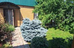 Дом 81м², 2-этажный, участок 4 сот.