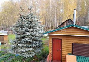 Дом 53м², 2-этажный, участок 5 сот.