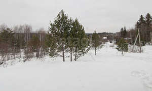 Дом 84м², 1-этажный, участок 15 сот.  