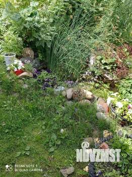 Дом 34м², 1-этажный, участок 17 сот.  