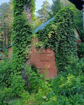 Дом 54м&sup2;, 1-этажный, участок 12 сот.  