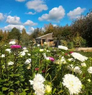 Дом 180м&sup2;, 2-этажный, участок 18 сот.  