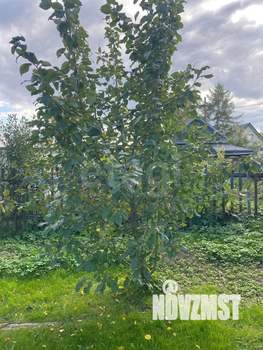 Дача 45м², 2-этажный, участок 5 сот.  