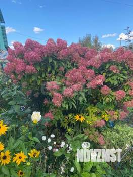 Дача 45м², 2-этажный, участок 5 сот.  