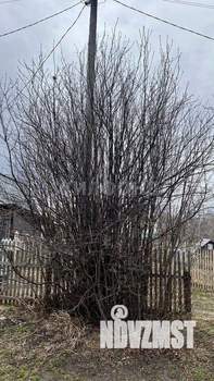 Дом 16м², 1-этажный, участок 6 сот.  