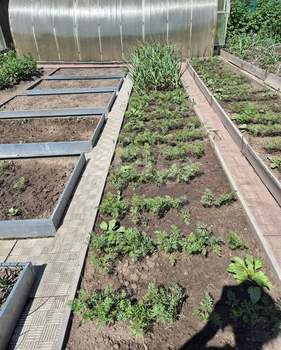 Дом 40м&sup2;, 2-этажный, участок 5 сот.  