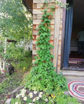 Дом 38м&sup2;, 2-этажный, участок 9 сот.  