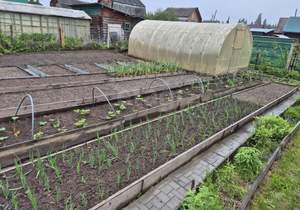 Дом 60м², 2-этажный, участок 4 сот.  