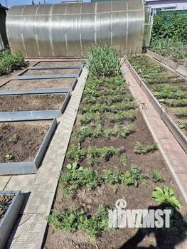 Дом 60м&sup2;, 2-этажный, участок 4 сот.  