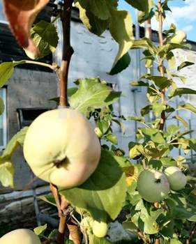 Дом 38м&sup2;, 2-этажный, участок 9 сот.  