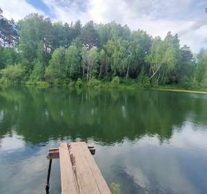 Дом 50м², 1-этажный, участок 6 сот.  