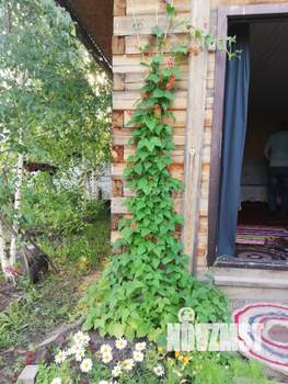 Дом 38м&sup2;, 2-этажный, участок 9 сот.  