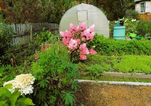 Дача 80м&sup2;, 2-этажный, участок 10 сот.  