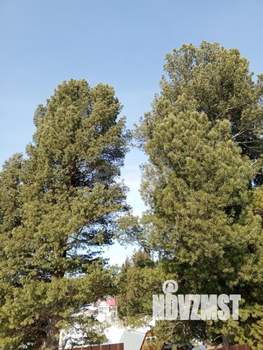 Дом 30м², 1-этажный, участок 7 сот.  