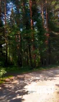 Дом 60м², 2-этажный, участок 8 сот.  