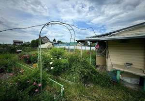 Дача 25м&sup2;, 2-этажный, участок 4 сот.  