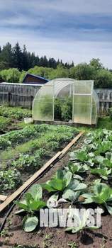 Дом 50м&sup2;, 2-этажный, участок 8 сот.  