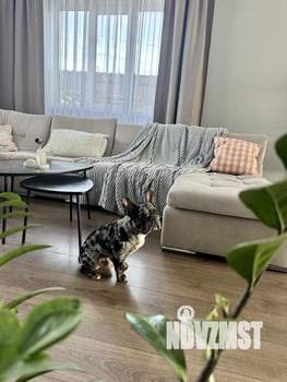 Дом 260м&sup2;, 2-этажный, участок 10 сот.  