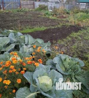 Дача 24м&sup2;, 1-этажный, участок 4 сот.  