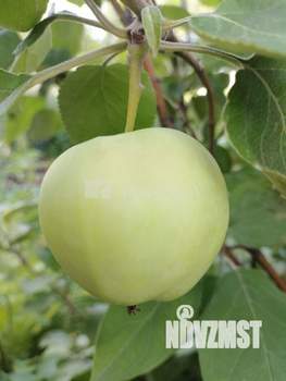 Дом 38м&sup2;, 2-этажный, участок 9 сот.  