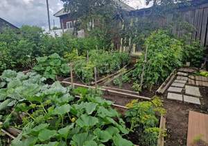 Дом 84м&sup2;, 1-этажный, участок 8 сот.  