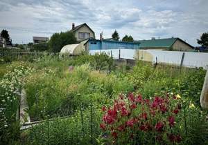 Дача 25м&sup2;, 2-этажный, участок 4 сот.  