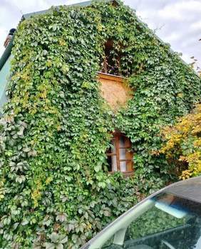 Дом 60м², 2-этажный, участок 6 сот.  