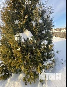 Дом 30м&sup2;, 1-этажный, участок 8 сот.  