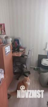 Дом 45м², 1-этажный, участок 13 сот.  