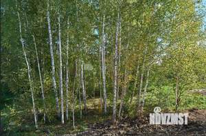 Коттедж 236м², 2-этажный, участок 9 сот.  