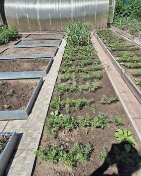 Дом 60м², 2-этажный, участок 4 сот.  