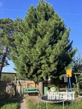 Дом 55м&sup2;, 2-этажный, участок 5 сот.  