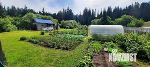 Дом 50м&sup2;, 2-этажный, участок 8 сот.  