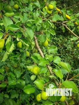 Дом 372м&sup2;, 3-этажный, участок 10 сот.  