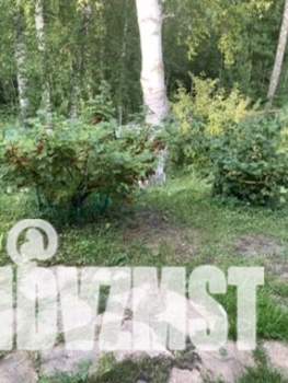 Коттедж 165м&sup2;, 2-этажный, участок 10 сот.  