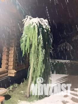 Коттедж 165м&sup2;, 2-этажный, участок 10 сот.  