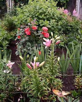 Дача 45м&sup2;, 2-этажный, участок 4 сот.  