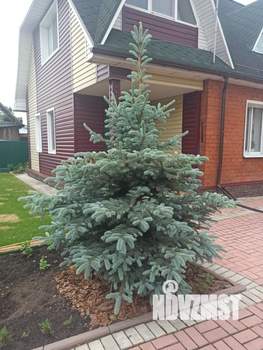 Дом 120м², 2-этажный, участок 6 сот.  