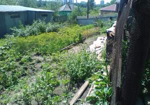 Дом 33м², 1-этажный, участок 9 сот.  