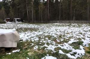 Дом 80м&sup2;, 1-этажный, участок 15 сот.  