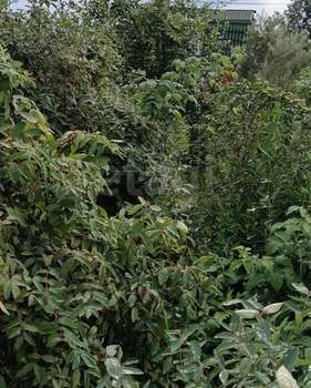 Дача 36м&sup2;, 1-этажный, участок 10 сот.  