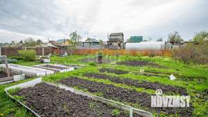 Дача 48м², 2-этажный, участок 8 сот.  